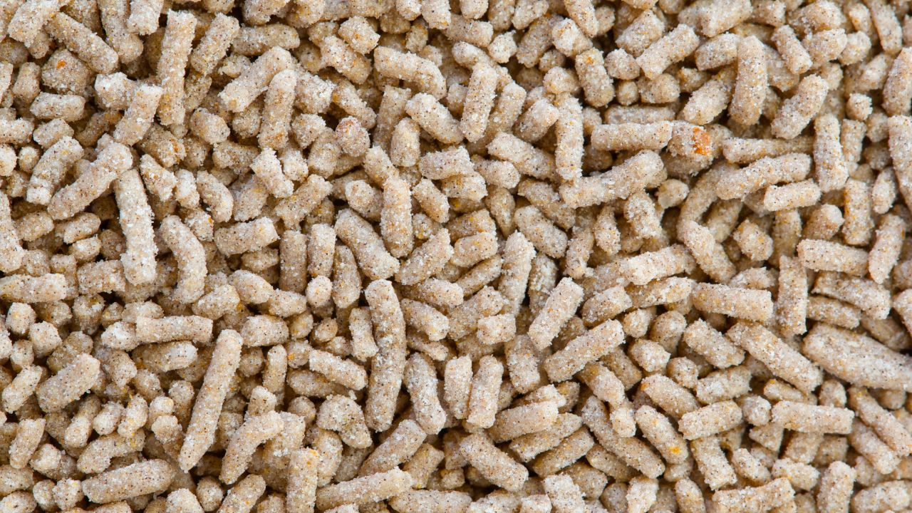 Gravy Granules