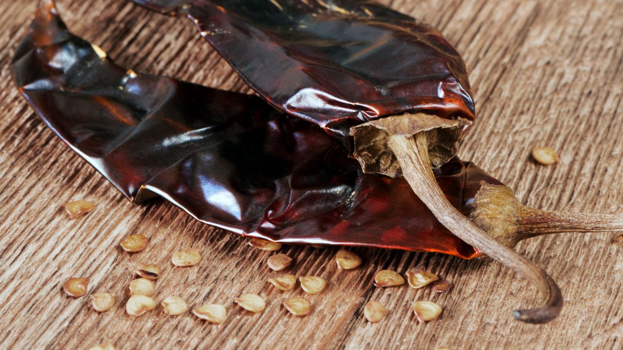 Guajillo Chilli
