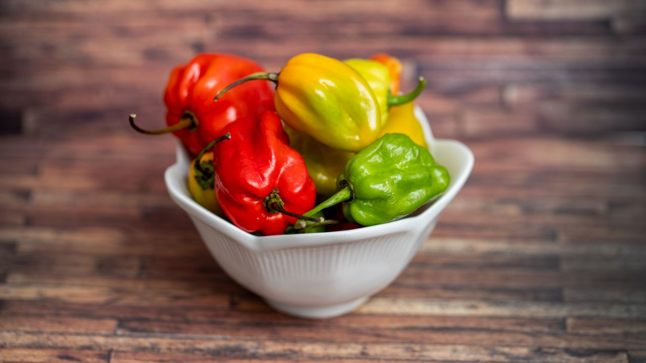 Habanero Pepper