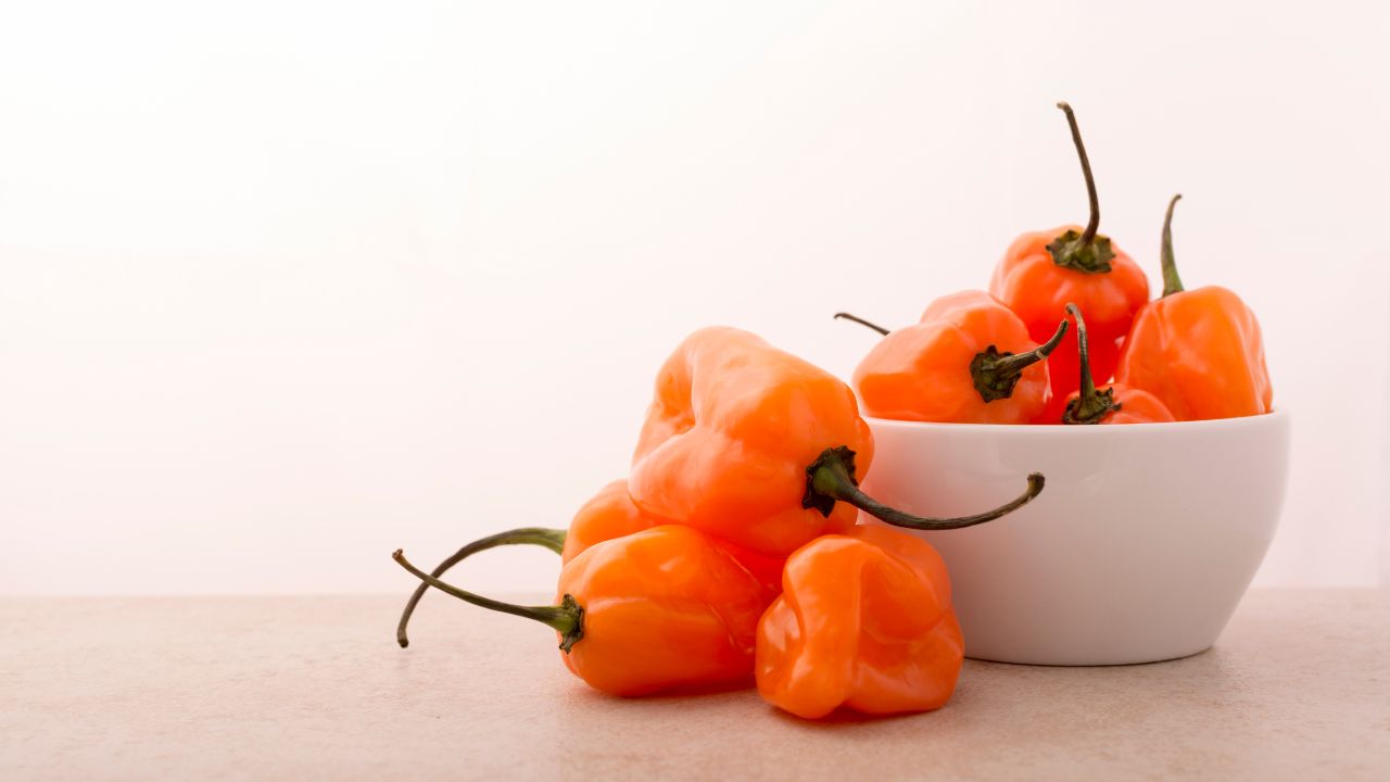 Habanero Peppers