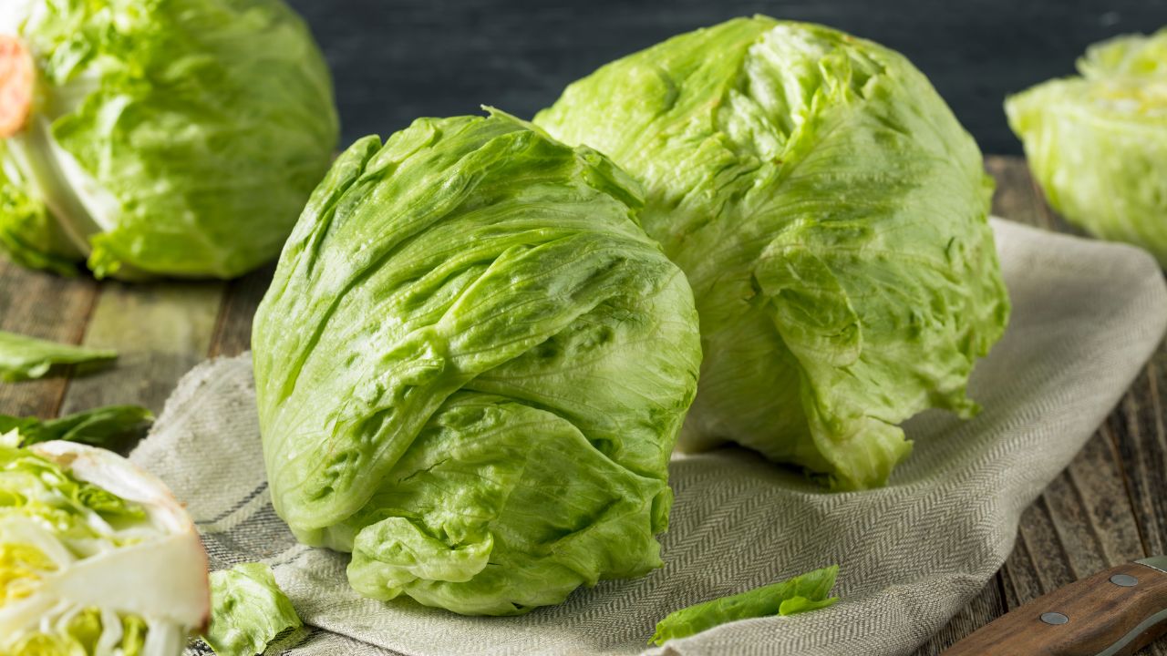 Iceberg Lettuce