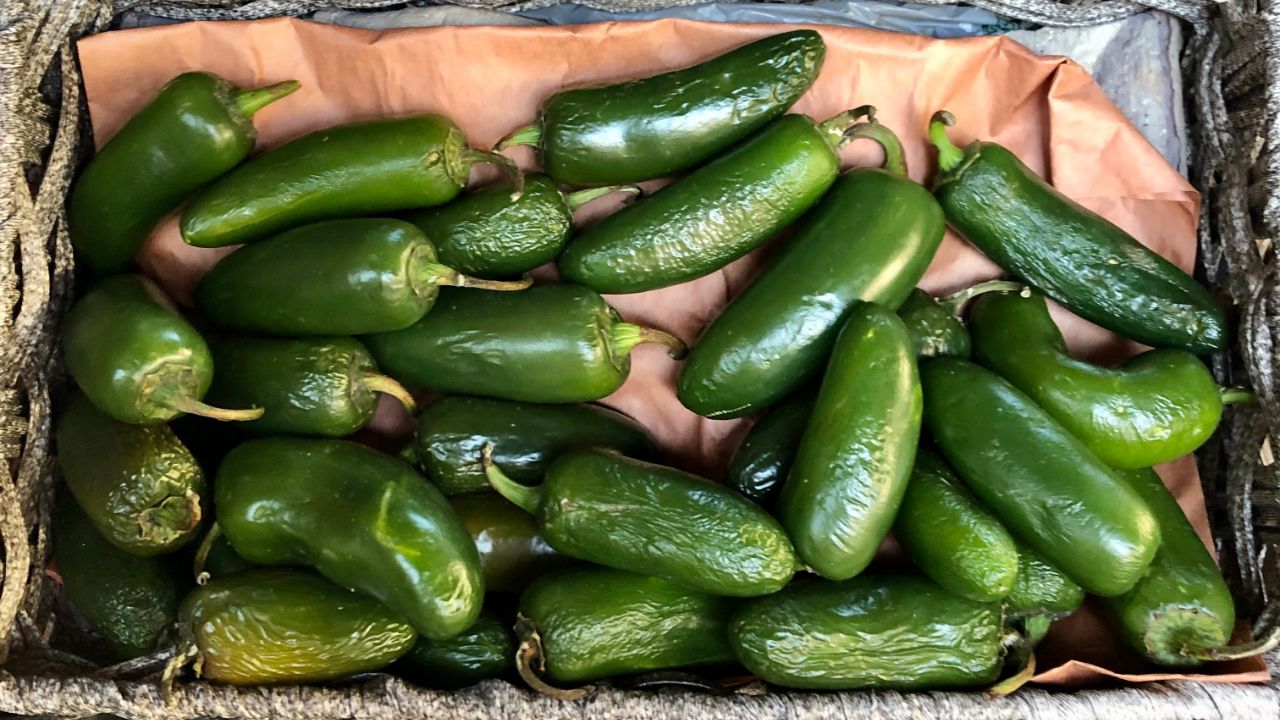 Jalapeño Peppers