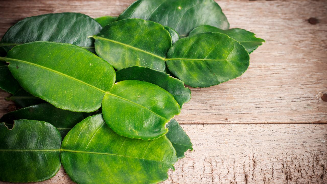 Kaffir Lime Leaves