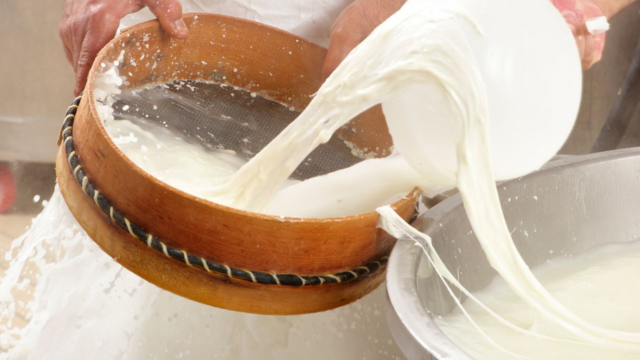 Mozzarella