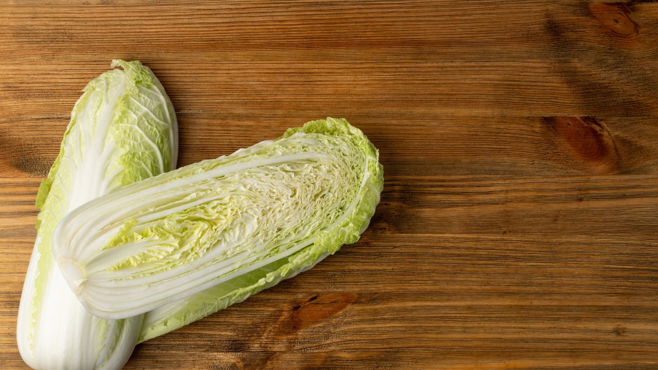 Napa Cabbage