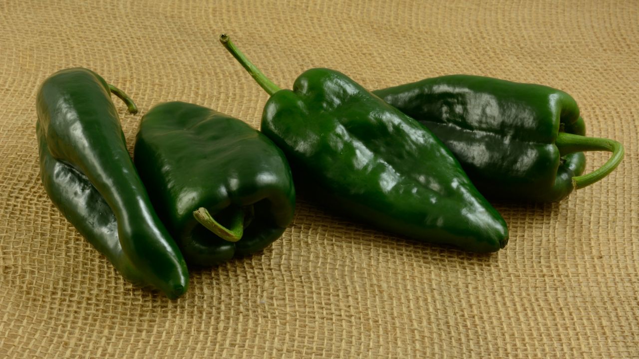Poblano Peppers