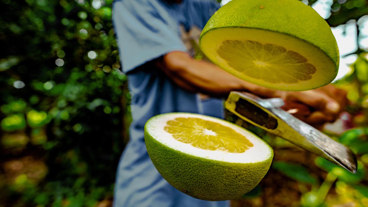 Pomelo Fruits Taste, Benefits And Cooking Tips (1)