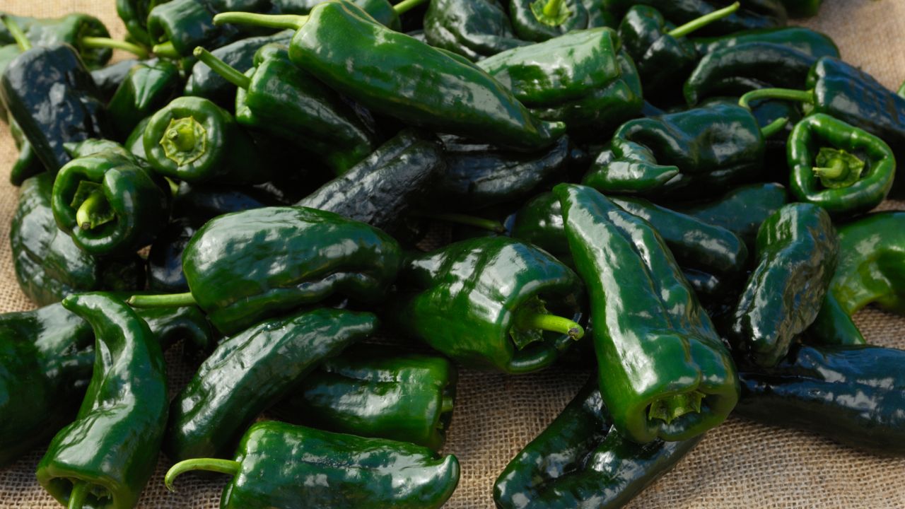 Roasted Pablano Peppers