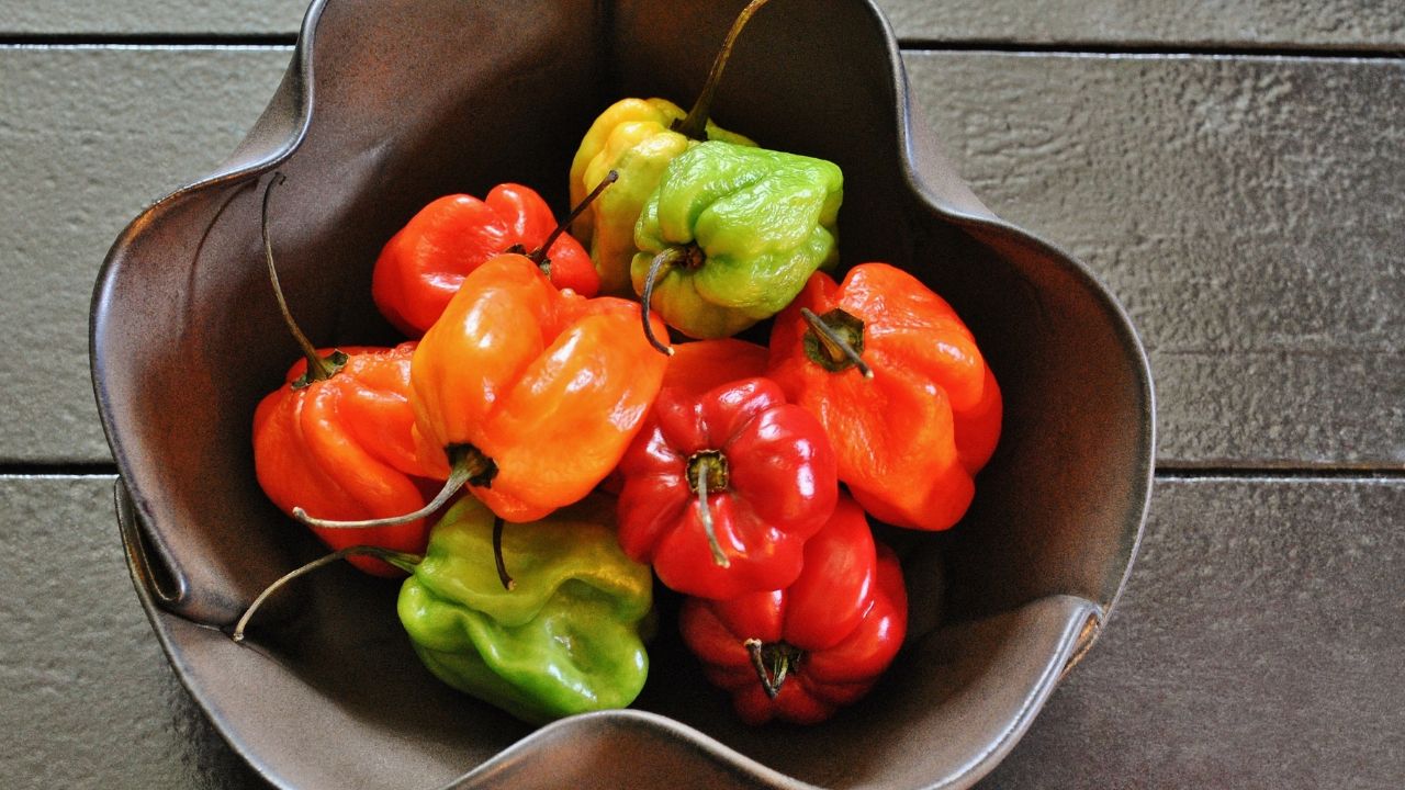 Scotch Bonnet Peppers