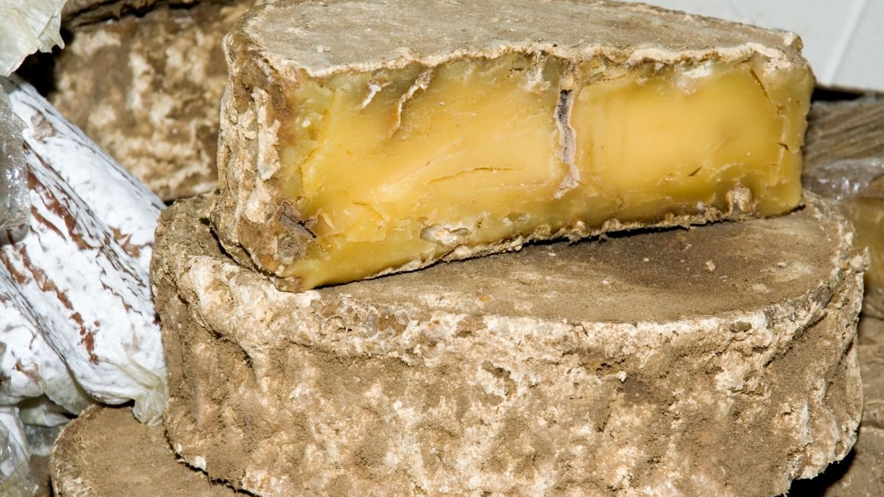 Toma Cheese