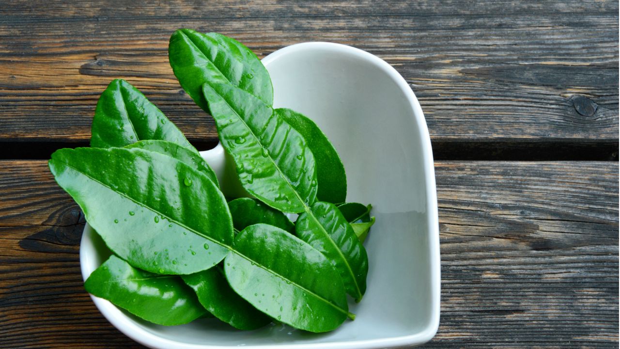 Traditional Lime Leaves