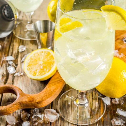 20 St. Germain Cocktail Recipes You Need To Try