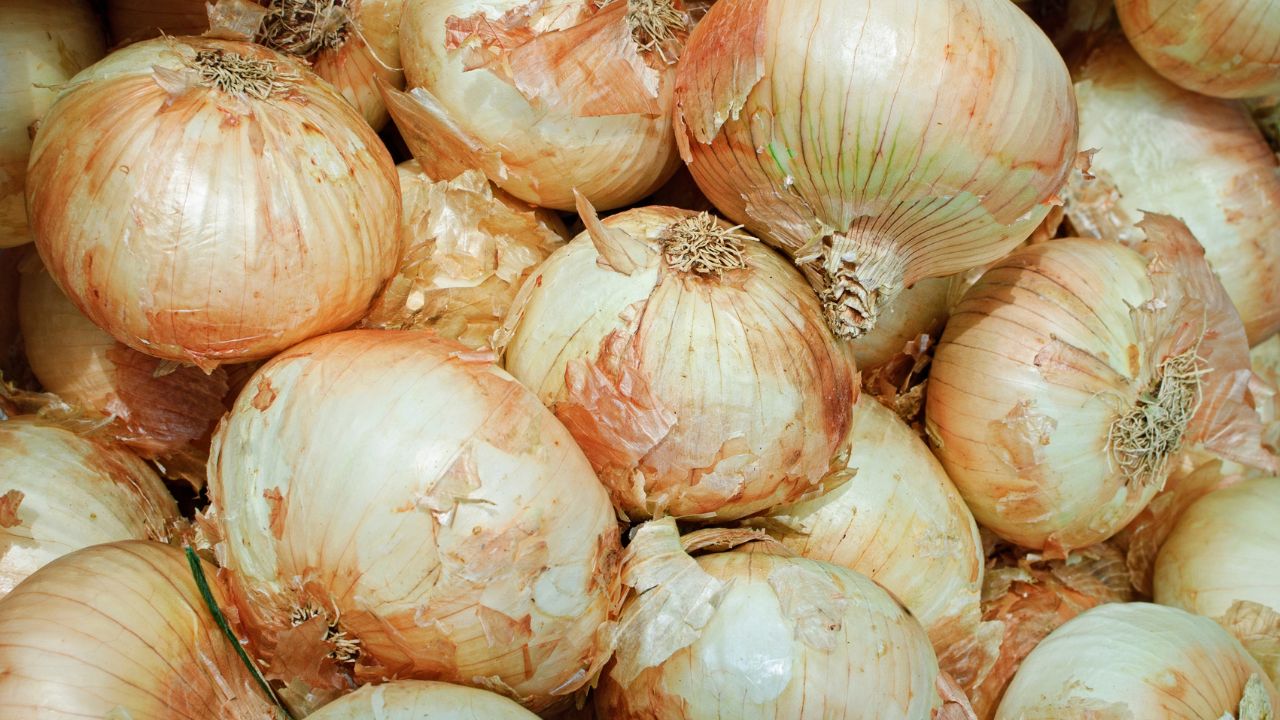 Vidalia Onions