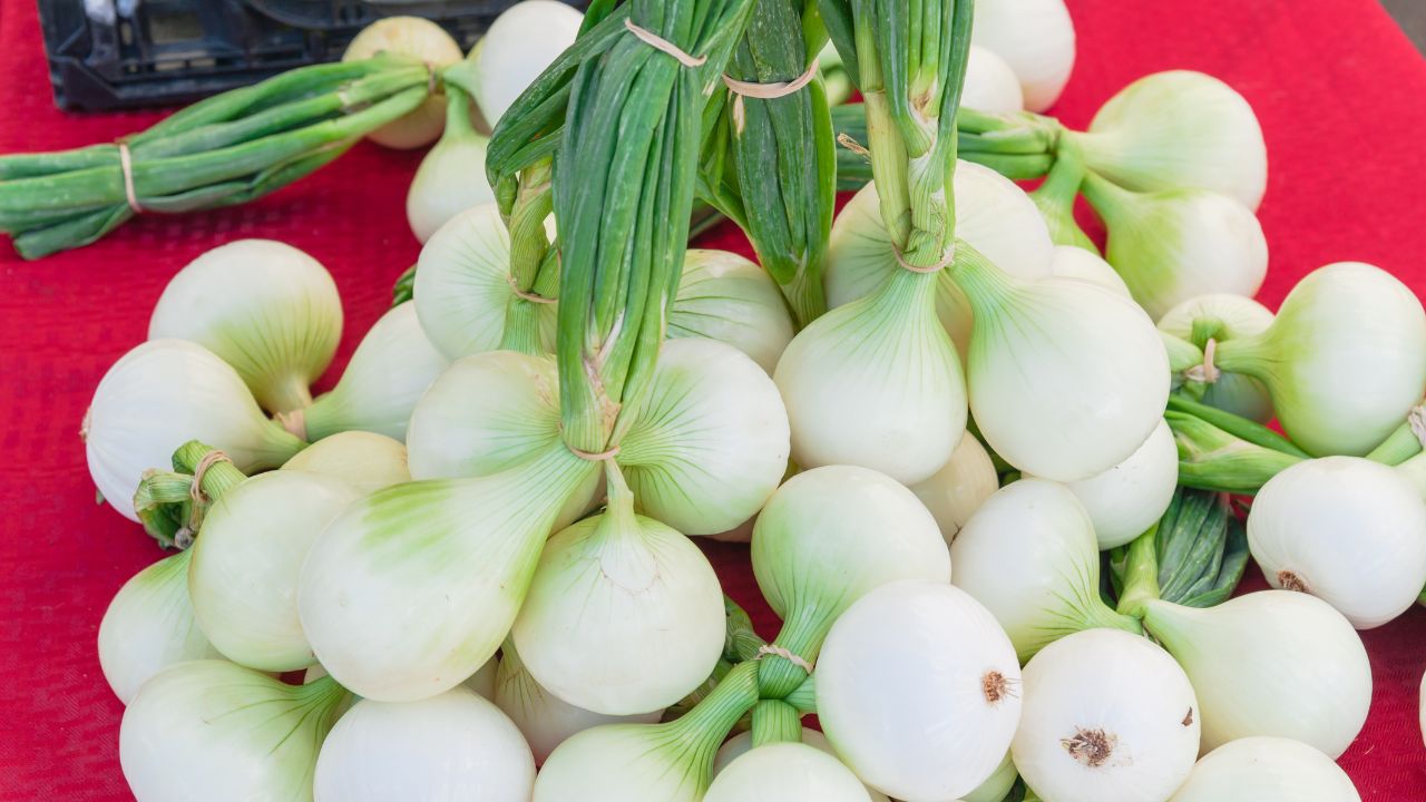 Walla Walla Onions