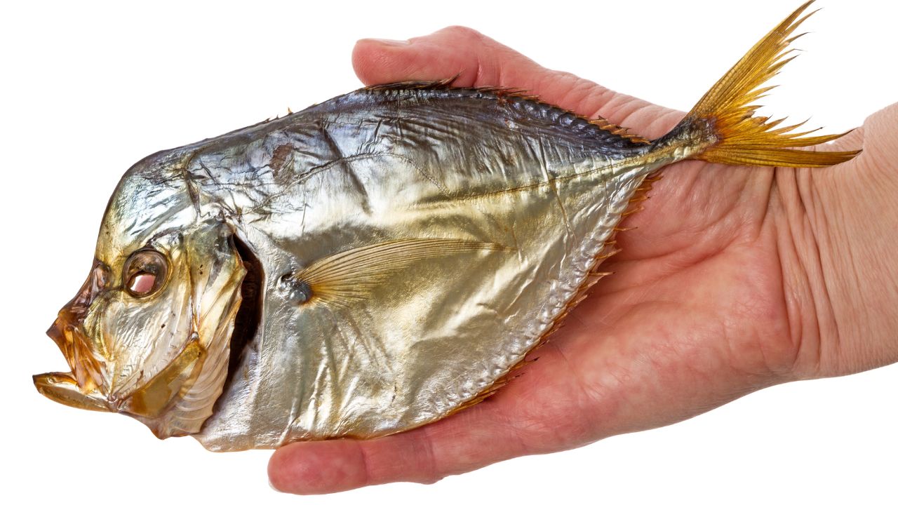 What Does Opah Fish Actually Taste Like Does It Even Taste Good (1)