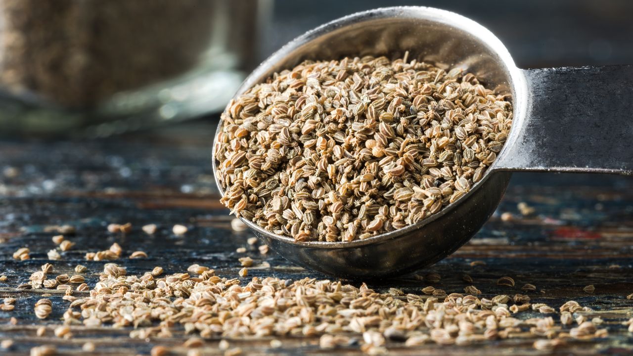 What Makes Celery Seeds Amazing, And 5 Substitutes You Can Use