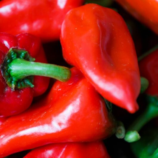 What To Use Instead Of Piquillo Peppers (8 Substitutes)