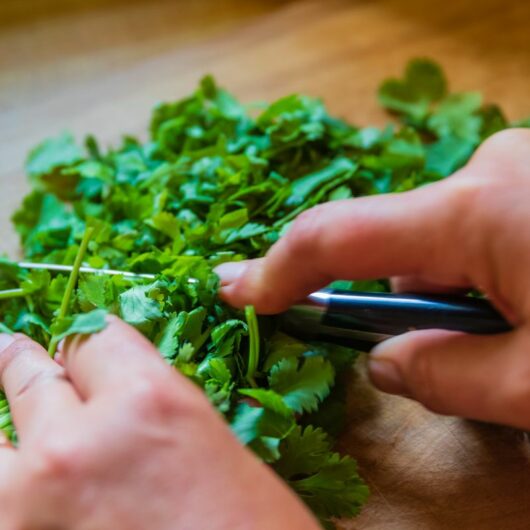 28 Delicious And Refreshing Cilantro Recipes