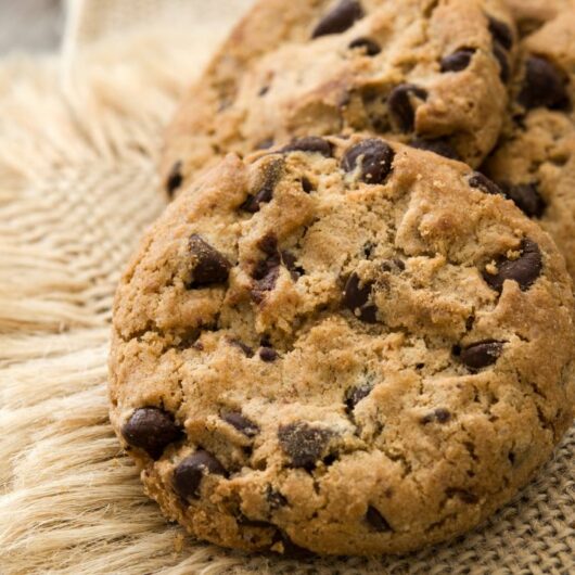 33 Simply Delicious Chocolate Chip Desserts