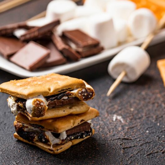 23 Amazing Graham Cracker Desserts You Need To Try