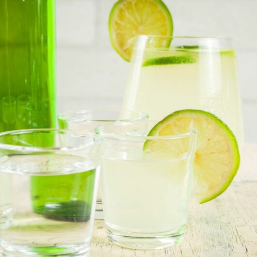 Soju Cocktails: The Best 13 Recipes