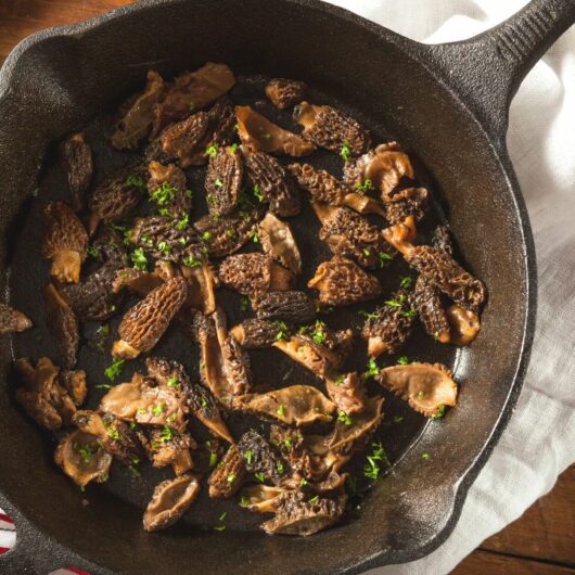 20 Delicious Morel Mushroom Recipes