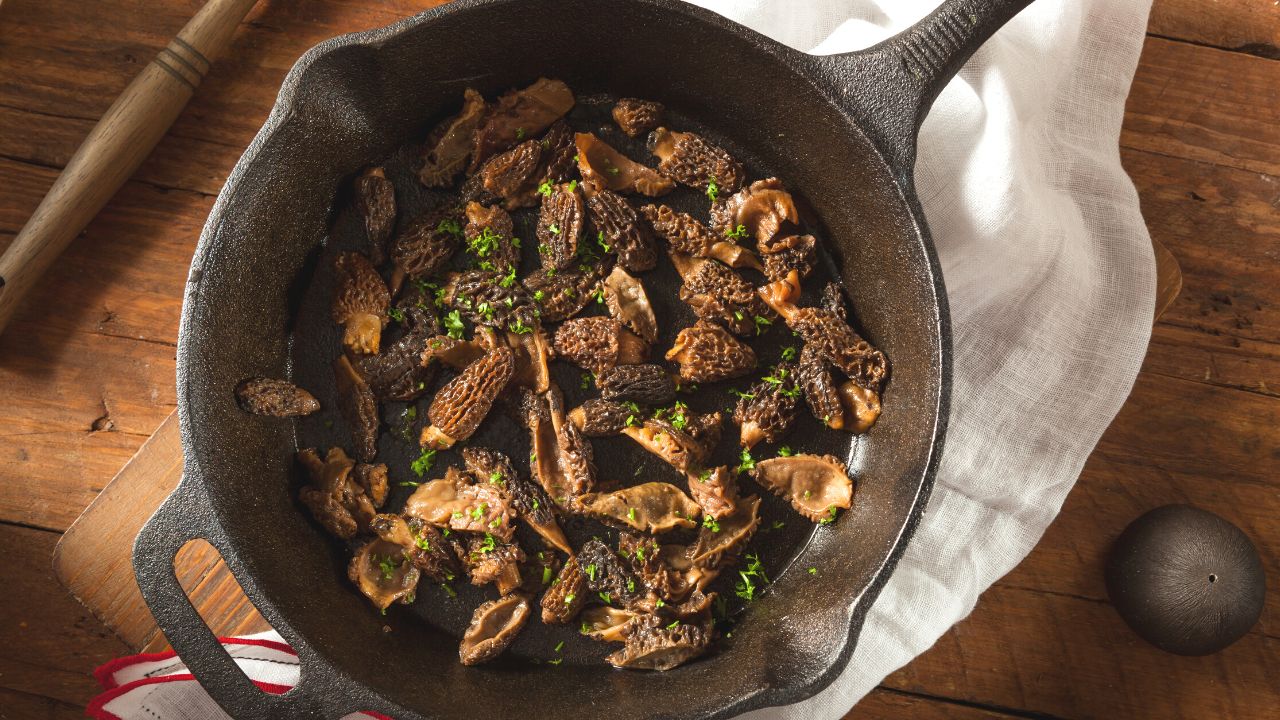 20 Delicious Morel Mushroom Recipes