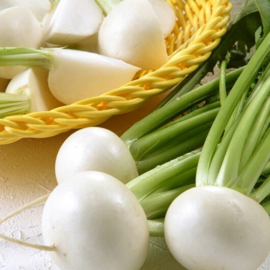 25 Most Delicious Turnip Recipes You Need To Try