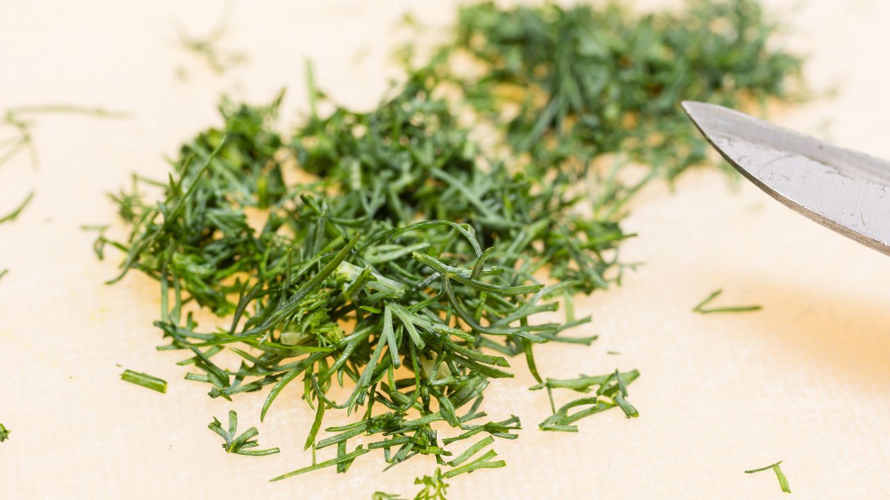 26 Easy and Tasty Dill Recipes