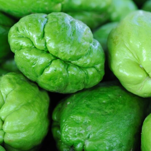 13 Easy And Delicious Chayote Squash Recipes