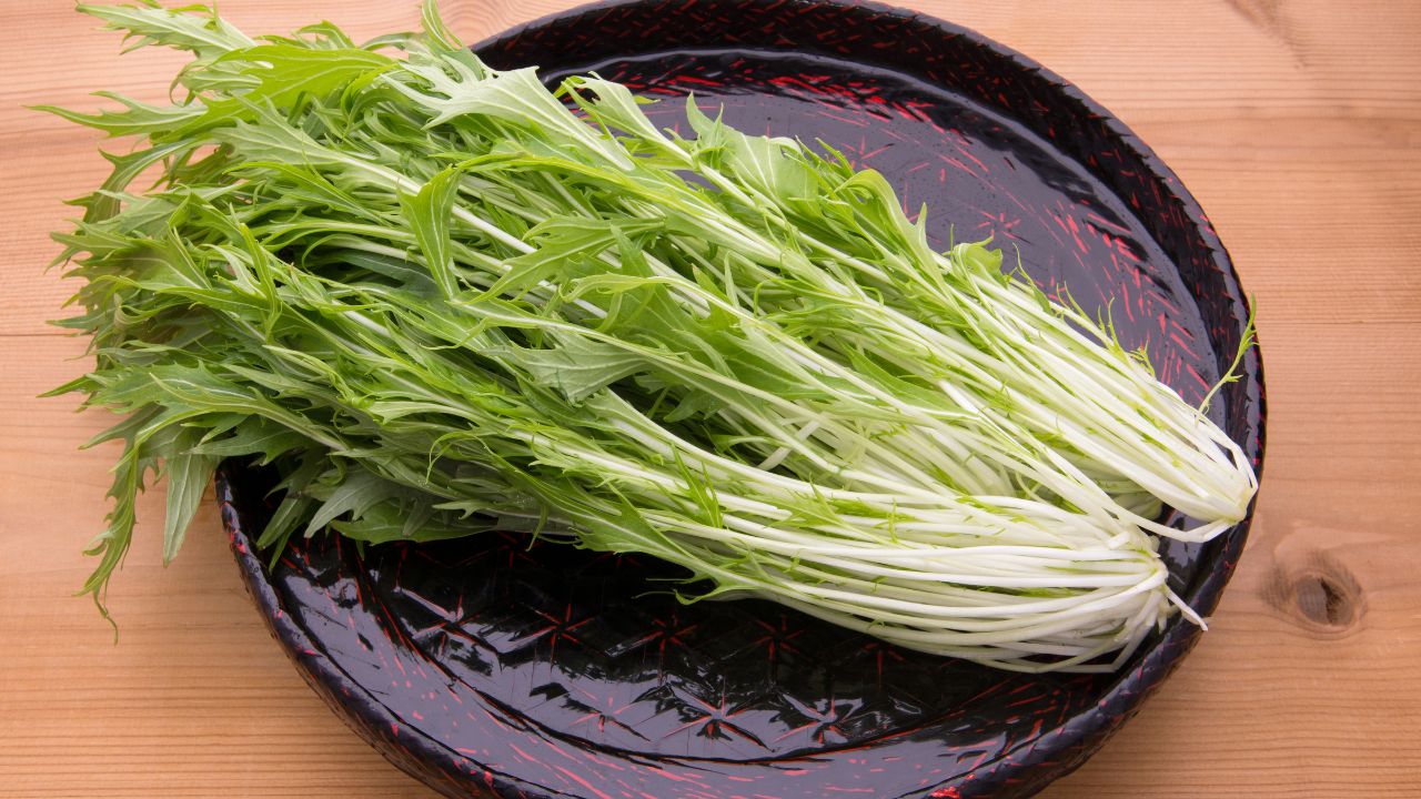 17 Vegetables That Start With M