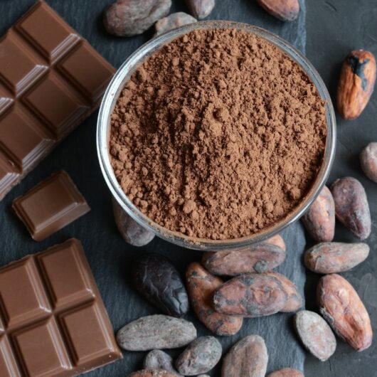 22 Easy Cacao Powder Recipes You Need To Try ASAP
