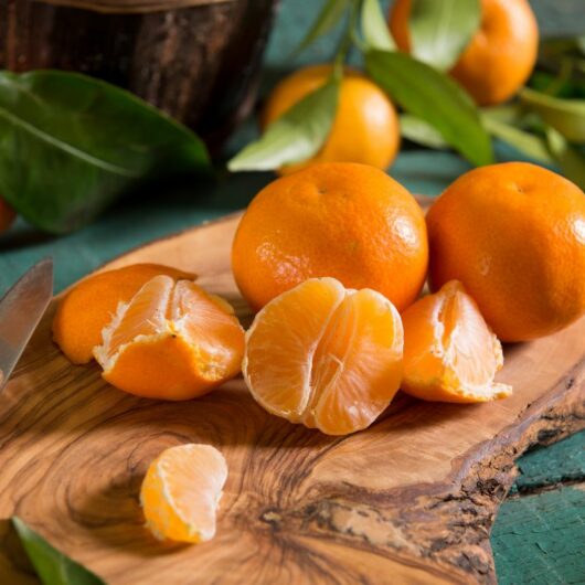 23 Of The Easiest Mandarin Recipes