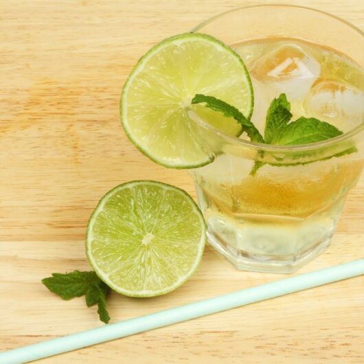 28 Easy And Simple Lime Cordial Recipes You Need To Try