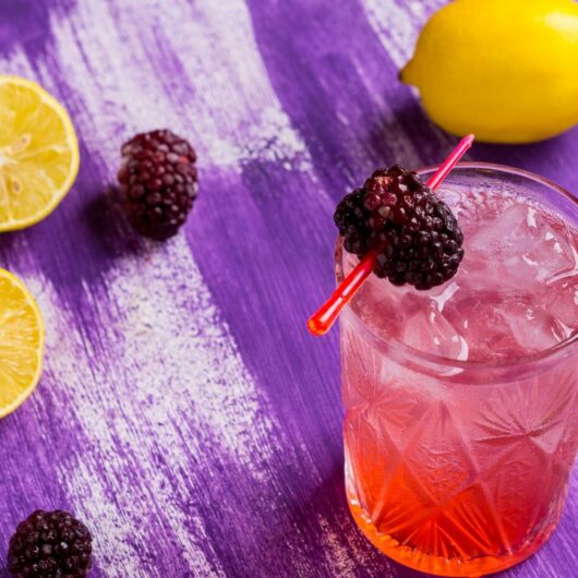 30 Delicious Must-Try Blackberry Cocktails