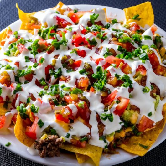 18 Brilliant Nacho Recipes and Yummy Topping Ideas