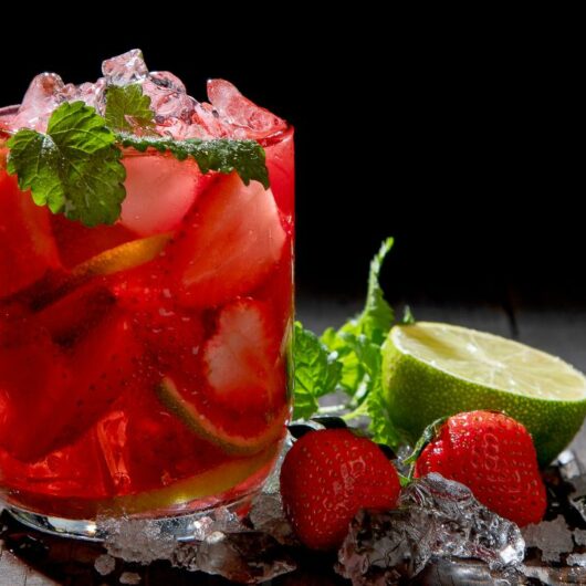 28 Delicious And Gorgeous Vodka Mojito Recipes For This Summer