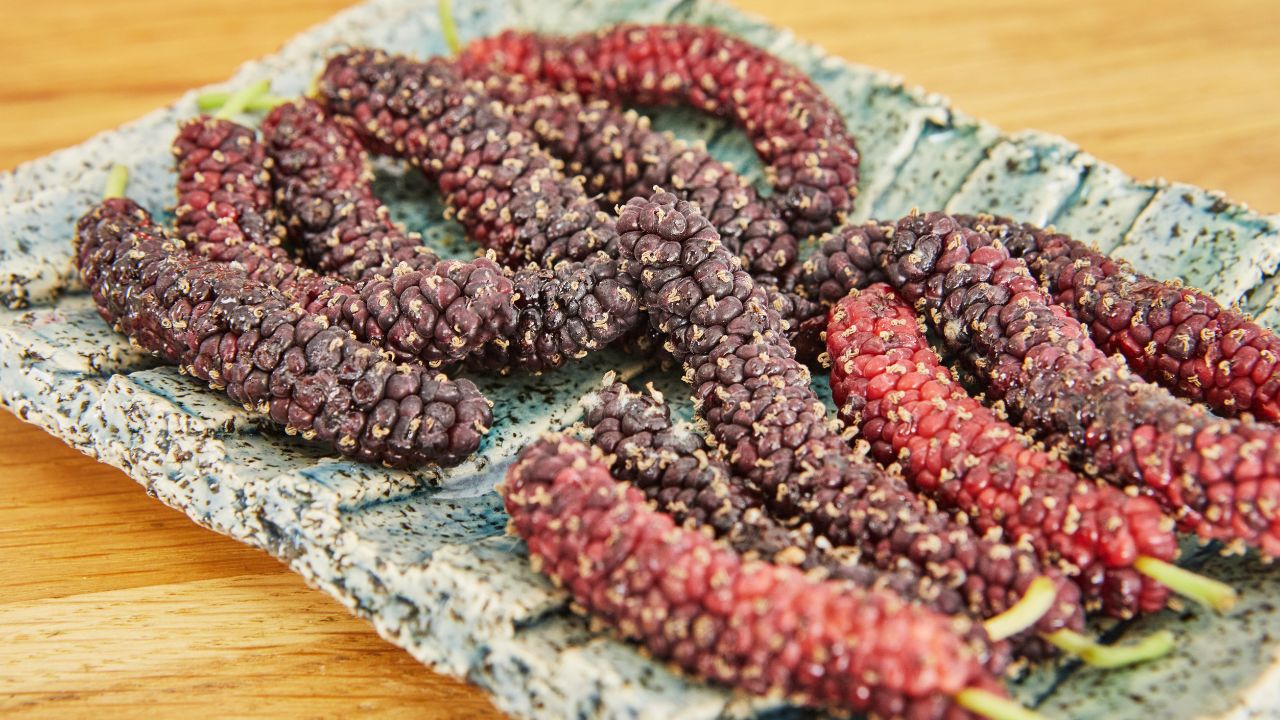Himalayan Mulberries