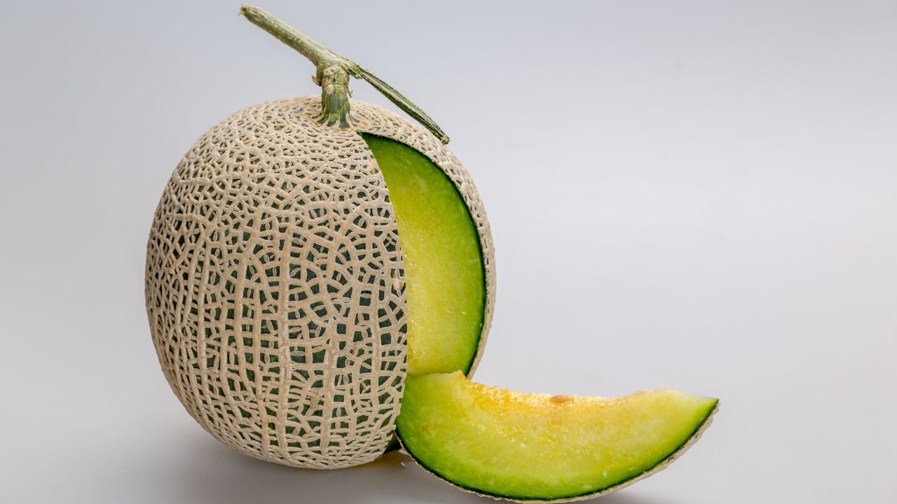Honeydew