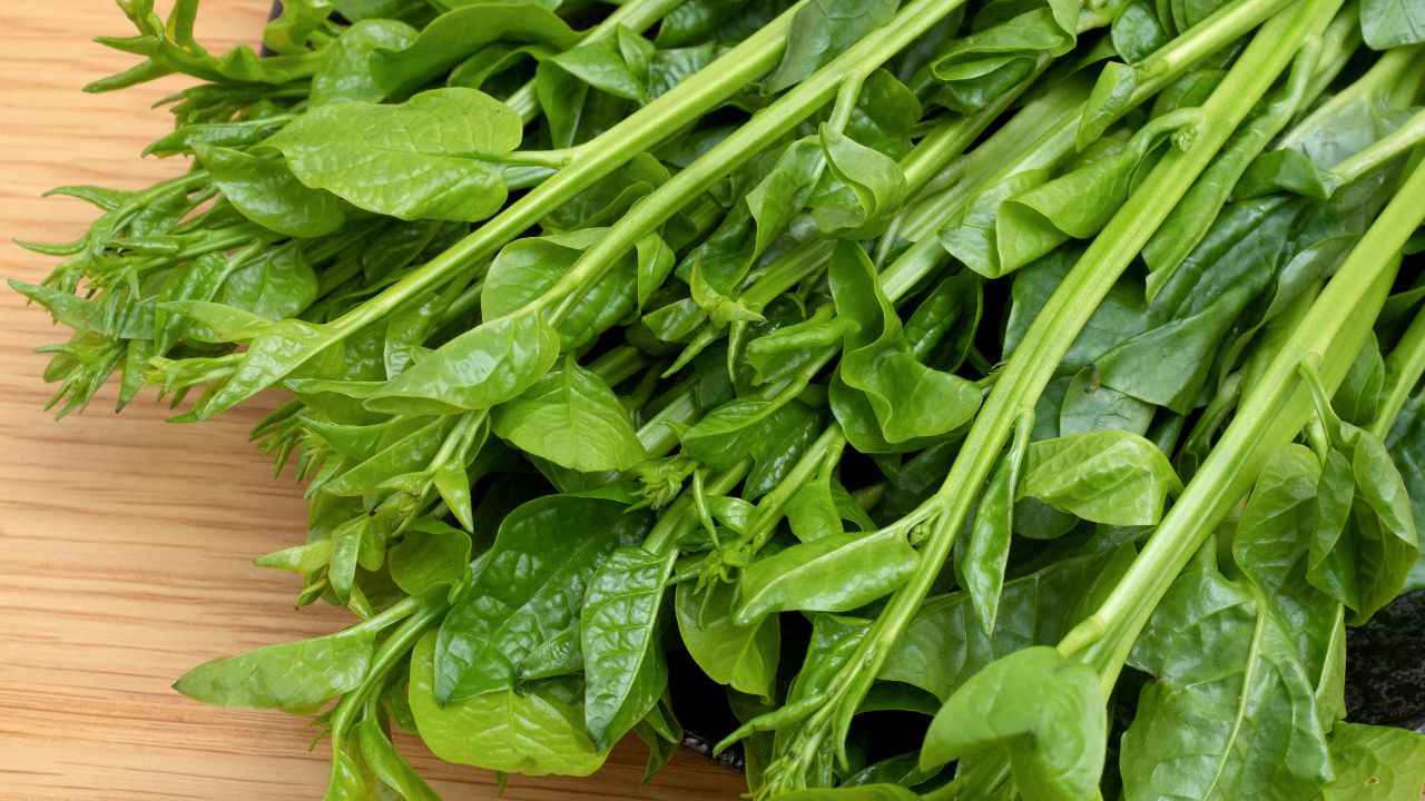 Malabar Spinach