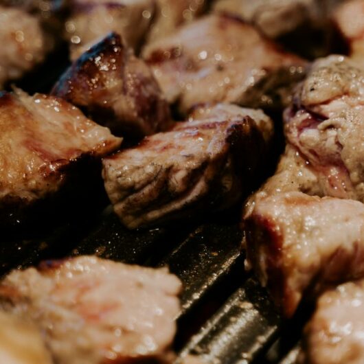 The 23 Best Recipes For A Ninja Foodi Grill