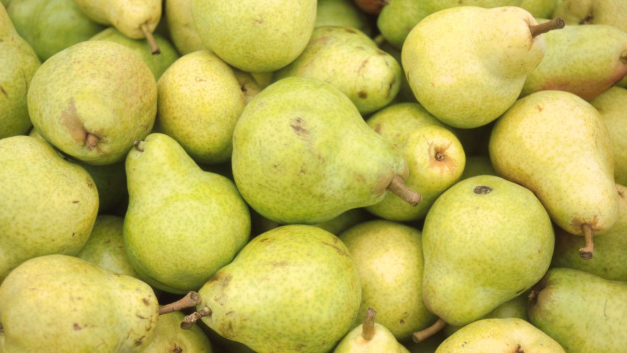 Yali Pear