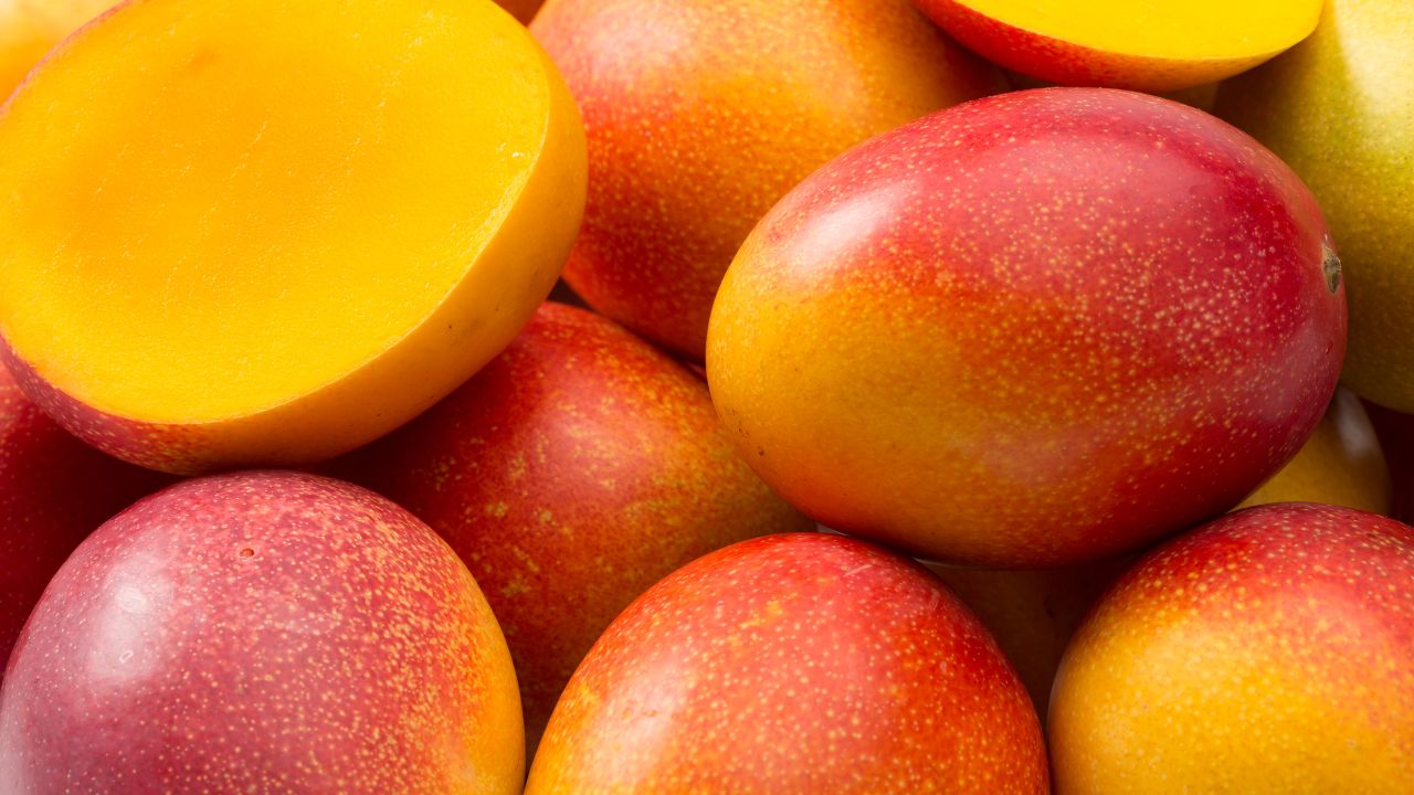 Zill Mango
