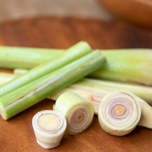 Freshen Up Your Meals With These 28 Lemongrass Recipes