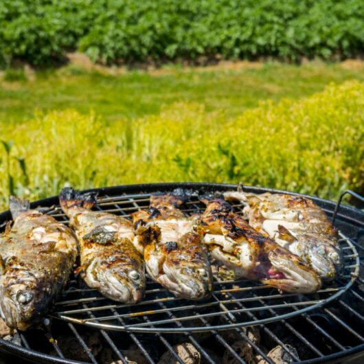 33+ Of The Best And Tastiest Trout Recipes