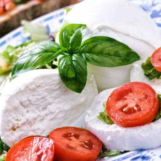 10 Quick Mozzarella Appetizers