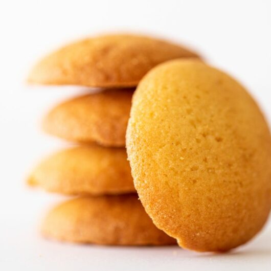 20 Best Nilla Wafer Recipes