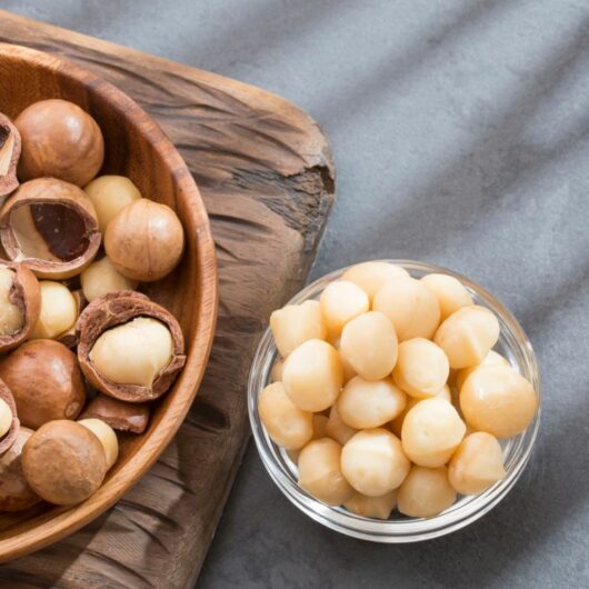 27 Best Macadamia Nut Recipes You Need To Try