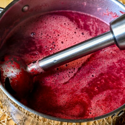 28 Easy And Delicious Immersion Blender Recipes