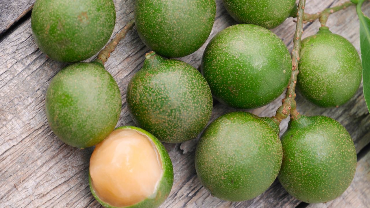 30 Fruits That Start With M